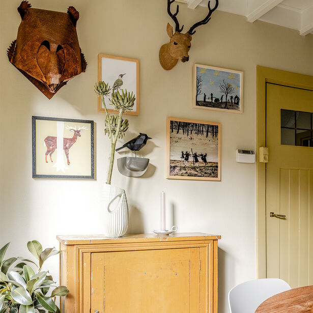 Vttv wvojh S19 E09 Haarlem Vierkant 1080x1080px1