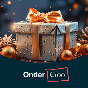 Cadeautip versie onder100
